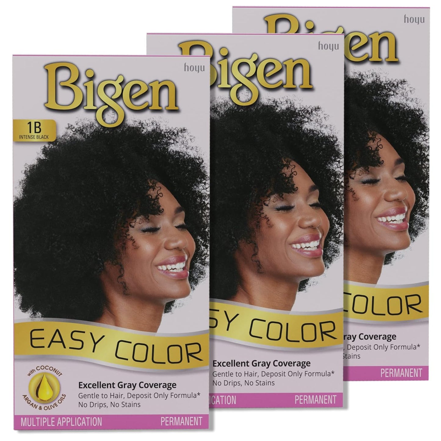 BIGEN EASY HAIR COLOR 1B INTENSE BLACK 12/2.8oz (SKU#12550)