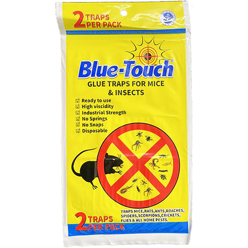 BLUE TOUCH MOUSE GLUE BOARD 2PK/144CS (SKU#11725)